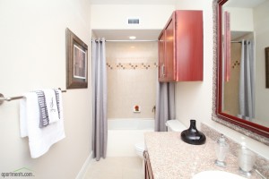 One Bedroom Apartments for rent in West Houston, TX - Model Bathroom    