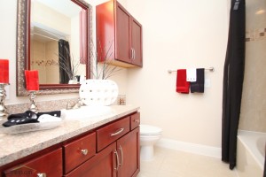 One Bedroom Apartments for rent in West Houston, TX - Model Bathroom Interior      